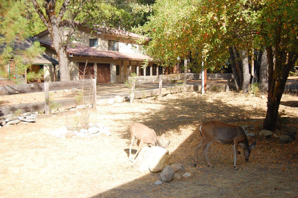 9N Fox Hollow Wawona Exteriér fotografie