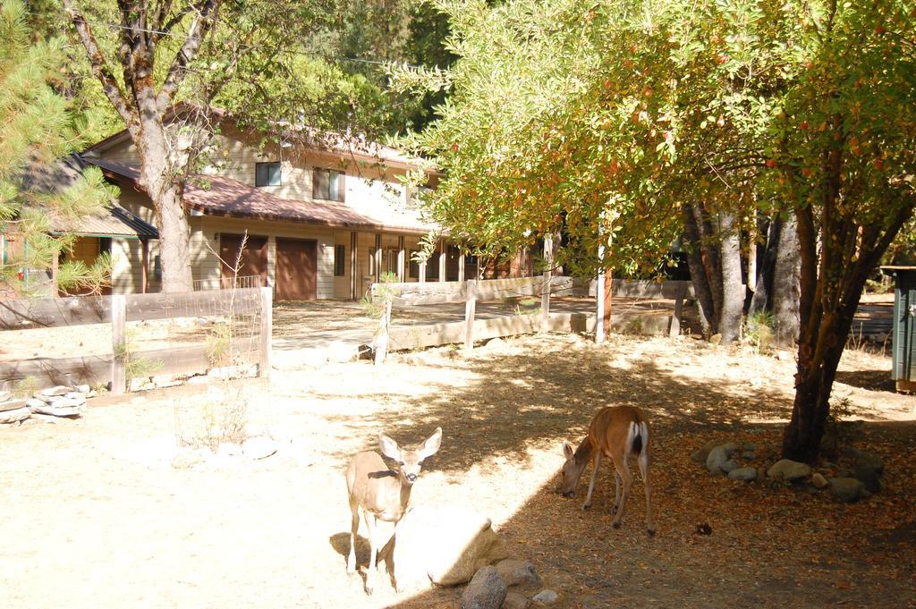 9N Fox Hollow Wawona Exteriér fotografie